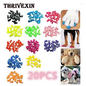 Ropa para perros 20 unids Tapas de uñas Colorido Soft Cat Garra Patas Cubierta con adhesivos Pegamento Productos para mascotas Zapatos Cachorro