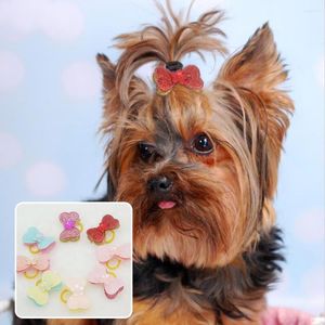 Vêtements pour chiens 20 pièces arcs de cheveux pour animaux de compagnie couleur vive Adorable anneau de toilettage mixte élastique pour mariage