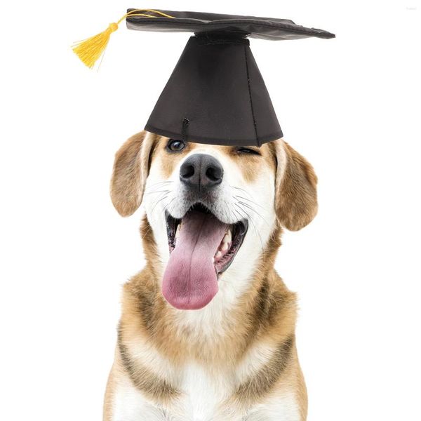 Ropa para perros 2pcs gorro de graduación grados negros con tasel amarillo gorros de vestuario perros sombreros de posgrado