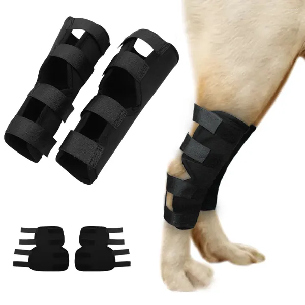 Vêtements pour chiens 2pcs / paire blessure tampon arrière jambe arrière joint de joint articulations