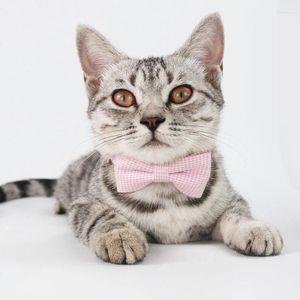Appareils pour chiens 2pcs Cold de compagnie Plaid Bow Cat à cravate de chat accessoires de toilettage