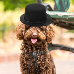 Ropa para perros 2 unids mascota cosplay sombrero al aire libre gato fiesta festival cachorro decoración accesorio