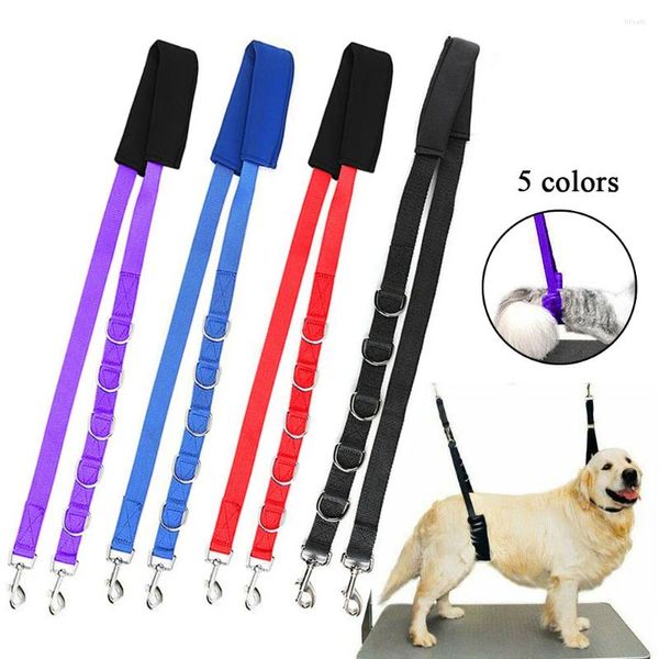 Ropa para perros 3 unids Aseo Correa del vientre Suministros para mascotas Anillos en D ajustables Banda de baño Tamaño libre Tracción Cinturón Collar Arnés Cuerda