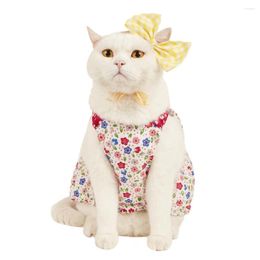 Abbigliamento per cani 3pcs/abito da gatto set adorabile outfit per animali domestici con stampa floreale