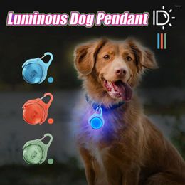 Vêtements pour chiens 4 modes LED collier lumière USB rechargeable RGB couleur changeante marche IPX8 étanche longue durée