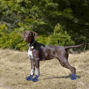 Vêtements pour chiens 4 pièces anti-bottes imperméables toutes saisons chaussons pour animaux de compagnie pour chiens de petite à moyenne taille XXXL (bleu)