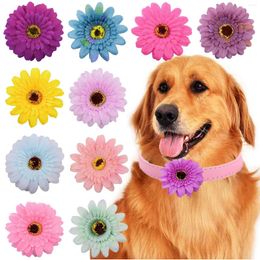 Hond Kleding 40 Pack Leuke Huisdier Coreopsis Strikje Kat Halsbanden Decoraties Voor Festival Grooming Puppy Hals Pography Accessoires