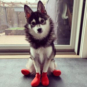 Vêtements de chien 4pcs chaussures de pluie antidérapantes imperméables pour petits chiens de grande taille bottes d'hiver en caoutchouc chaussures de pluie chihuahua yorkie husky