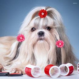 Appareils pour chiens 5-20pcs Clips de cheveux de fleur Supplies pour animaux