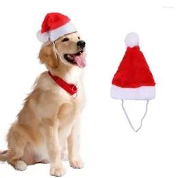 Vêtements de chien 5 pcs drôle mignon rouge chapeau de Noël chapeaux pour animaux de compagnie appropriés chats chiens Teddy Party intérieur usage domestique