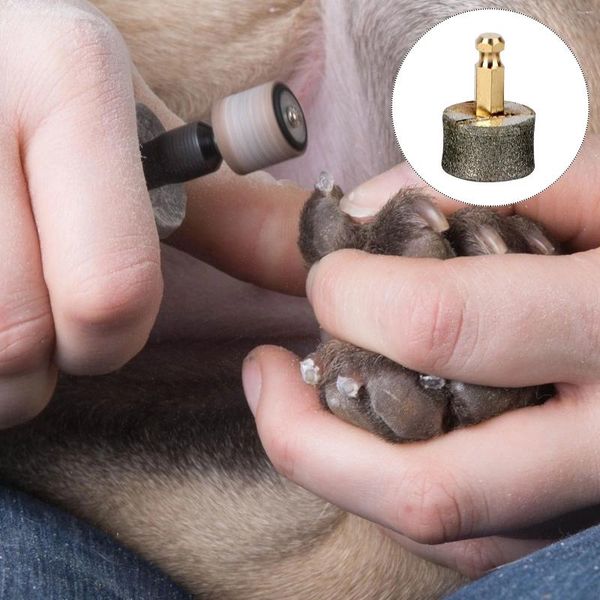 Appareils pour chien 5 PCS Pet Nail Grinder Polonteur Roue électrique Grincement Tête de dossier Professionnel Trimmer