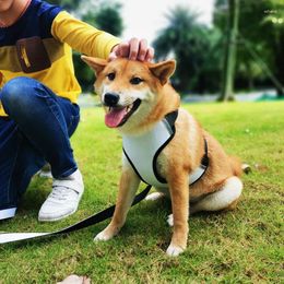 Ropa para perros 5 PCS Sublimación al por mayor DIY Chaleco de malla PET PET en blanco Prensa de calor Tinta de impresión