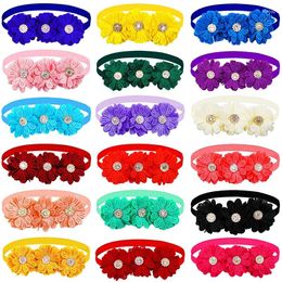 Appareils pour chiens 50 / 100pcs ACCESSOIRES DE LA MODE À COI