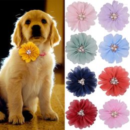 Appareils pour chiens 50 / 100pcs accessoires de cols de fleurs