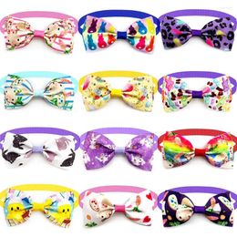 Appareils pour chiens 50 / 100pcs Pâques Pet Boes Colorful Small Collar Puppy Necctures de toilettage de vacances