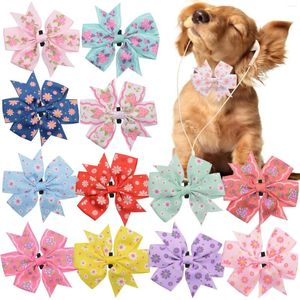 Appareils pour chiens 50 / 100pcs Flower Collar Spring Supplies Sliable Bo Spied Pet Pet Col Colm Produits For Dogs Bowt