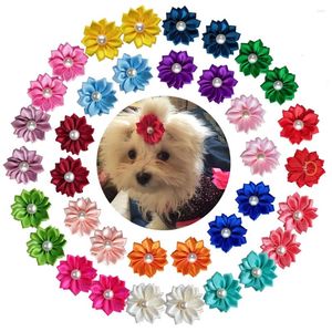 Vêtements pour chiens 50 / 100pcs de cheveux faits à la main