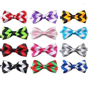 Appareils pour chiens 50 / 100pcs Small Bow Ties Stripes de vagues Cat Necclues Bowties Colliers de Noël Accessoires