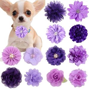 Ropa para perros 50pcs cuello de flores a granel para el día de San Valentín, cuello removible, boil corney dogs accesorios de preparación