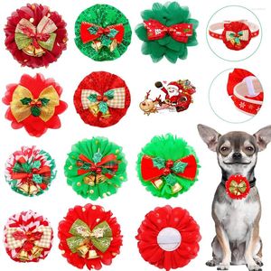Appareils pour chiens 50pcs Accessoires de décorage de Noël