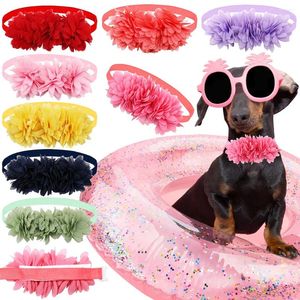 Hondenkleding 50 stuks mode chiffon grote bloem strikjes voor honden huisdieren zomerkraag kleine katten huisdierverzorgingsaccessoires