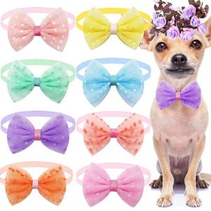 Appareils pour chiens 50pcs Fashion Lace Bowties mignon pour animaux de compagnie Cat à noeud papillon pour chiens à col