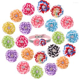 Appareils pour chiens 50pcs Fashion Pet Supplies Flower Collar Small Cat Bo Spill Charms ACCESSOIRES DE BOIS AMOVABLE