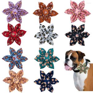 Appareils pour chiens 50pcs mélange couleurs couleurs accessoires de collier de fleur de papillon