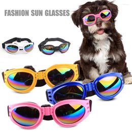 Appareils pour chiens 6 lunettes de soleil pour animaux