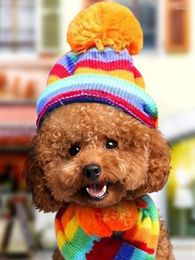 Vêtements de chien 6pcs hiver accessoires de chiot pour chiens tricotés chapeaux rayés écharpe chaussettes petits petits animaux plus chauds produits de chat chihuahua