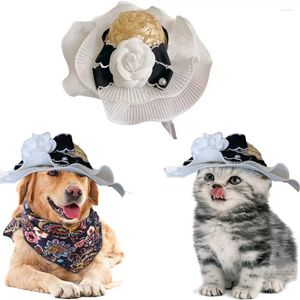 Hondenkleding verstelbare kat hoed huisdier accessoires strand feestkostuum cap po rops hoofddeksels zomer