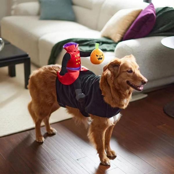 Vêtements pour chiens Vêtements réglables Chucky Inspiré Halloween Costume pour animaux de compagnie Citrouille Ride Design Bande de fixation Moyenne