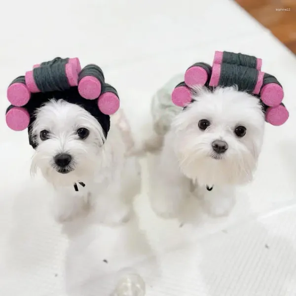 Appareils pour chien Rassette de fixation réglable pour animal adorable Cat Headgear Softweight Party for Cross-Dressing Fun Cute Cartoon