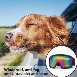 Verpes pour chiens verres réglables de protection des lunettes de protection pour animaux de compagnie étanche à travers les lunettes de vent avec des chiens écologiques pour les chiens respectueux de l'environnement