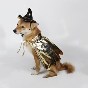 Vêtements pour chiens Cape pour animaux de compagnie réglable Tenue élégante Chapeau de sorcière Ensemble pour la décoration de fête d'Halloween Costume de fête Chats