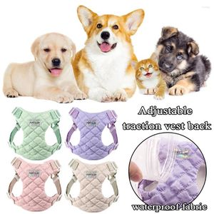 Appareils pour chiens Adjustable animal de compagnie