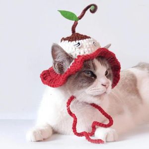 Appareils pour chiens Taille réglable chapeau de compagnie couleurs vives à lacets tricotés pour robe cosplay couverture de tête chats chiens