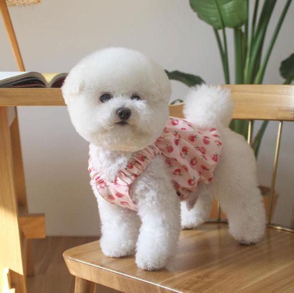 Chien vêtements adorable pêche conception robes mignon chiot bulle jupe petite fronde Tutu caniche Chihuahua Teddy robe d'étéchien