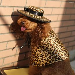 Ropa para perros adorable mascota cape graciosos con sombrero ajustable de corbata para gatos y perros Halloween perfecto