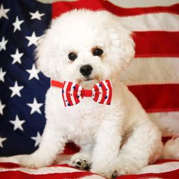 Hondenkleding American Independence Day Pet Bow Tie rood wit en blauw goed cadeau voor je