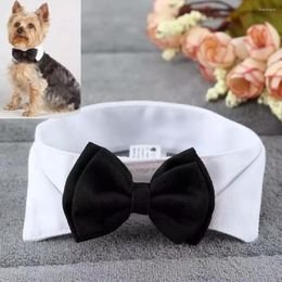 Ropa para perros Llegada Guapo Gato formal Pajarita Novio Trajes de esmoquin Perros de compañía Accesorios de boda Aseo Pajarita negra