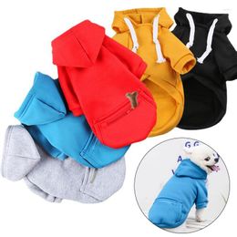 Vêtements pour chiens Arrivée Vêtements d'hiver avec hache à capuche à poche petite grande veste de veste en manteau chair de compagnie