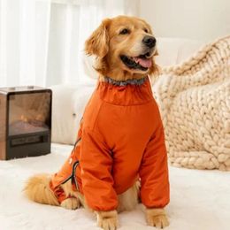 Appareils pour chiens automne et hiver Big quatre costumes à pattes Chargez en manteau