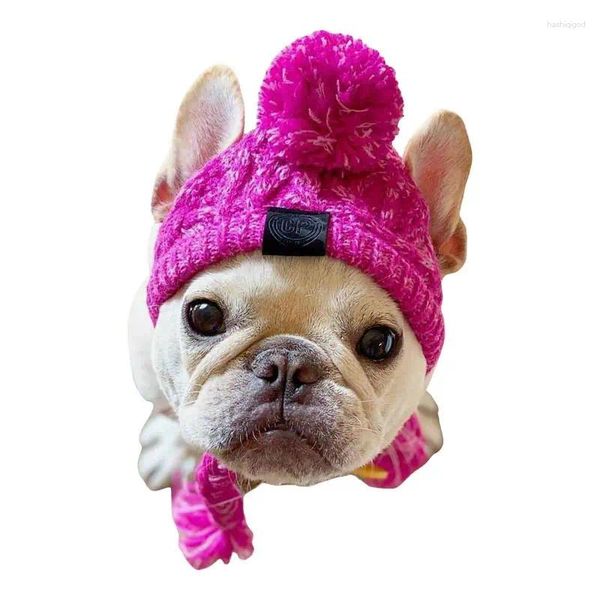 Vêtements pour chiens automne et balle de fourrure d'hiver gardent la méthode de tricot gonflable au vent au chaud combattant le chapeau de compagnie Headgear