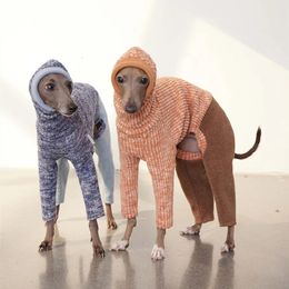 Vêtements pour chiens Automne et hiver Vêtements pour animaux de compagnie Col roulé Designer Vêtements pour chiens Bellington Whibit Greyhound Vêtements Accessoires pour chiens Ropa Perro 231024