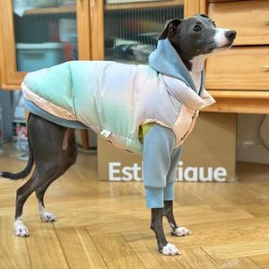Vêtements pour chiens Automne et hiver Doudoune pour animaux de compagnie Petits vêtements Whybit Greyhound Ropa Perro Accessoires pour chiens Designer