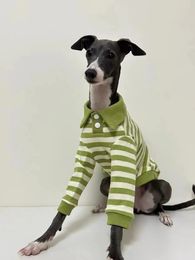 Vêtements pour chiens Automne et hiver Polo en coton pur Stretch Italien Greyhound Whippet Bellington Vêtements Rayures vertes 231206