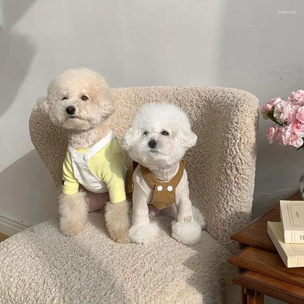 Vêtements pour chiens automne et hiver bretelles jupe petite robe chatons garder au chaud vêtements pour animaux de compagnie en gros pour chiens