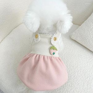 Vestimenta de ropa de perro falda mascota chihuahua yorkies pomeranian shih tzu maltese caniche bichon lindo ropa de cachorro