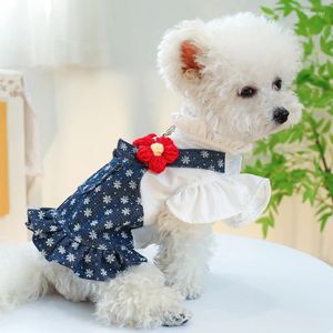 Vêtements pour chiens automne aux vêtements pour animaux de compagnie de printemps robe de chat costume de princesse